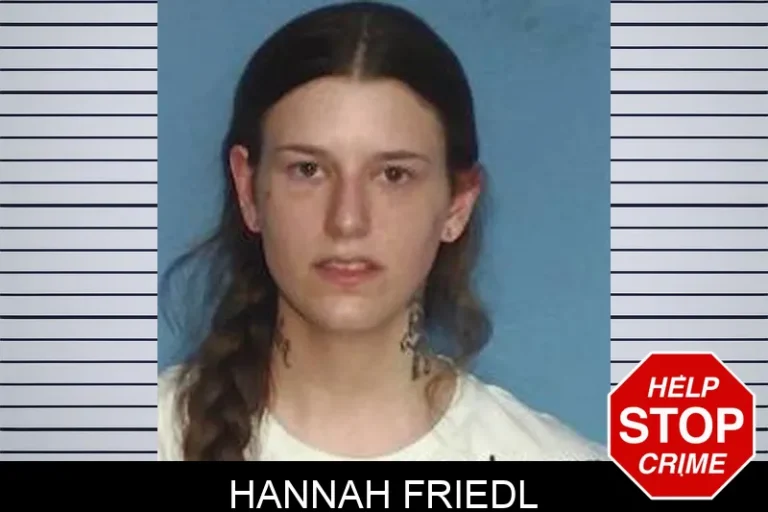 Hannah Friedl