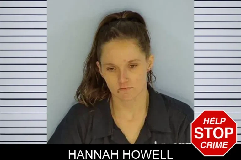 Hannah Howell