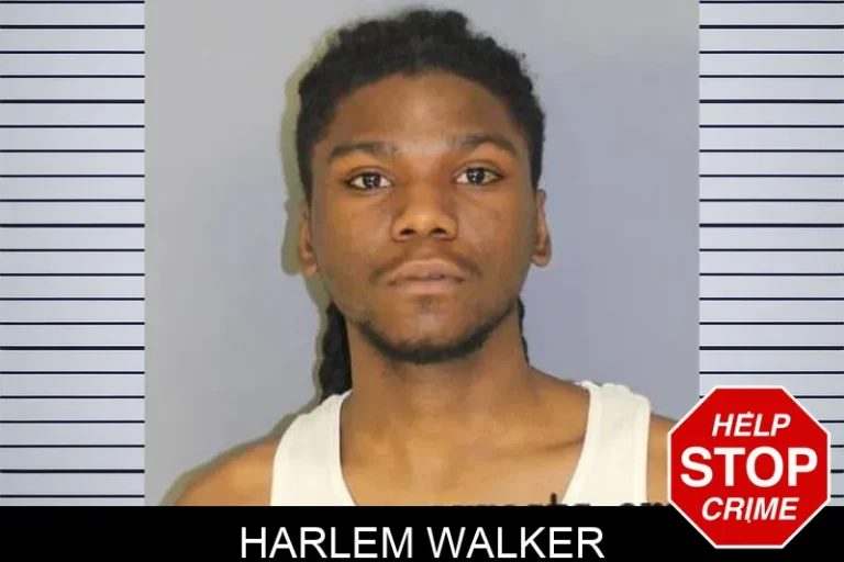 Harlem Walker