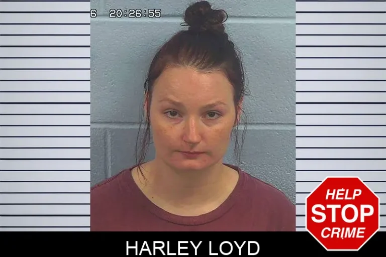 Harley Loyd