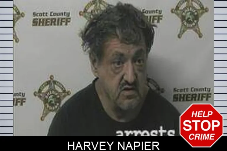 Harvey Napier