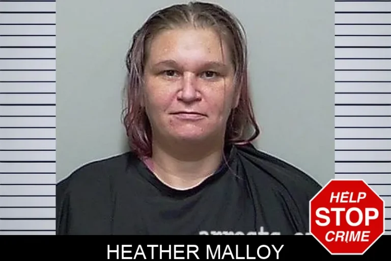 Heather Malloy