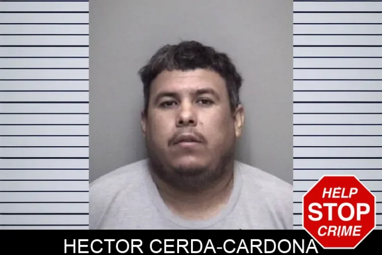 Hector Cerda-Cardona