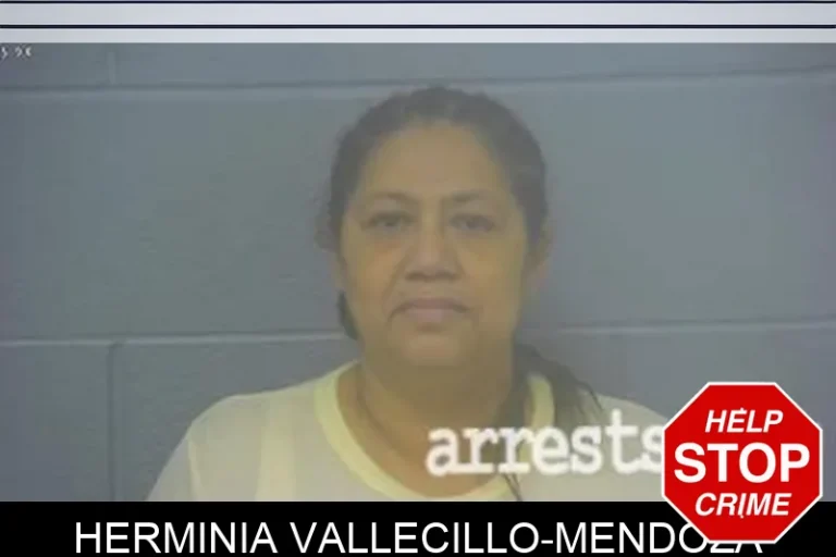 Herminia Vallecillo-Mendoza