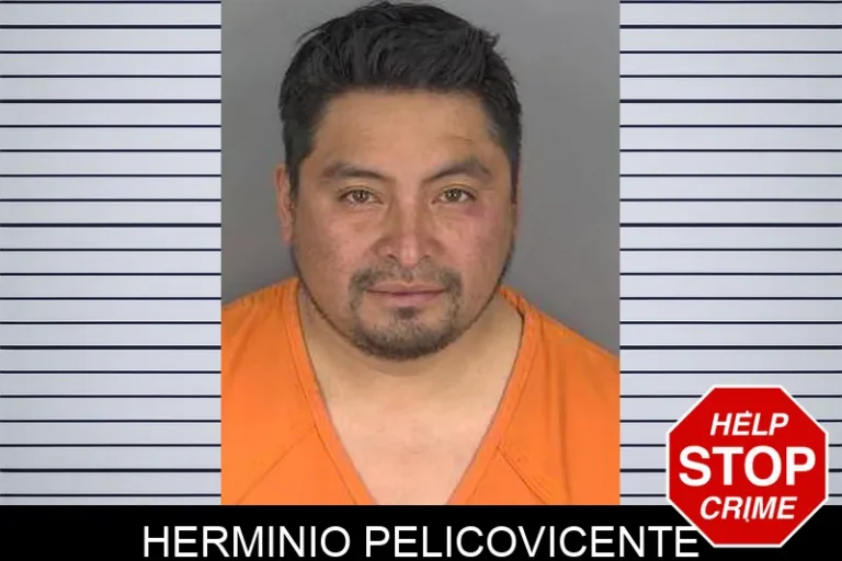 Herminio Pelicovicente