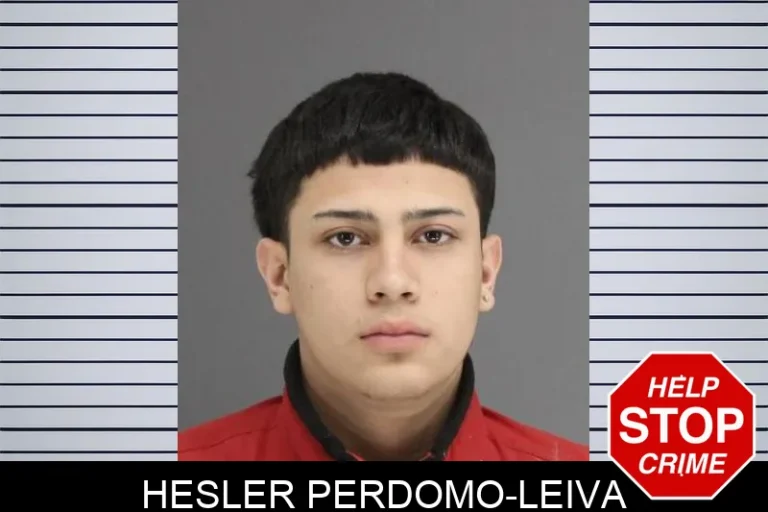 Hesler Perdomo-Leiva