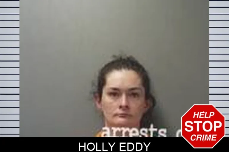 Holly Eddy