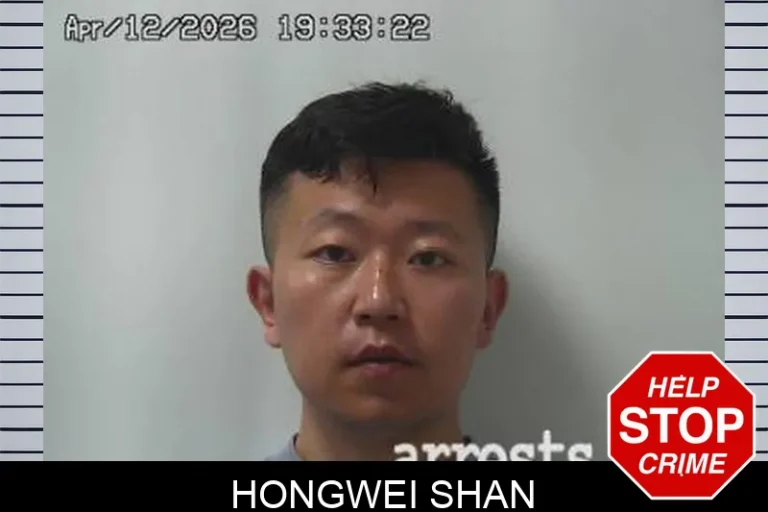 Hongwei Shan