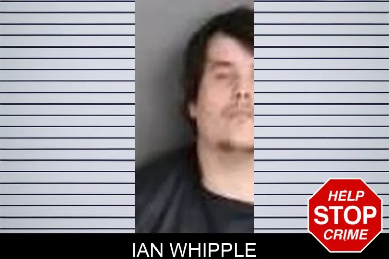 Ian Whipple