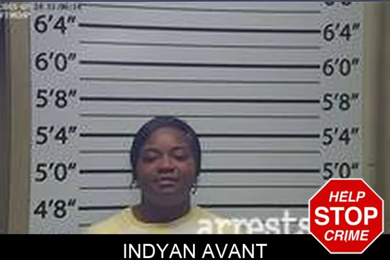 Indyan Avant