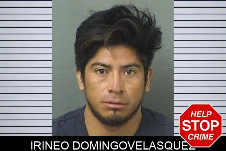 Irineo DomingovelasquEz