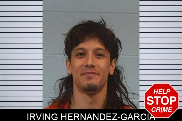 Irving Hernandez-Garcia
