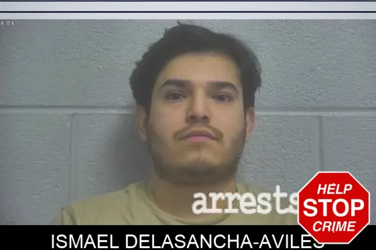 Ismael DeLaSancha-Aviles