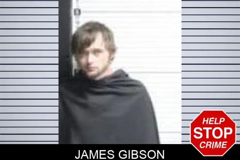 James Gibson