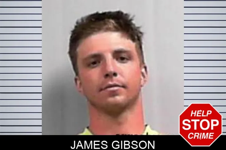 James Gibson