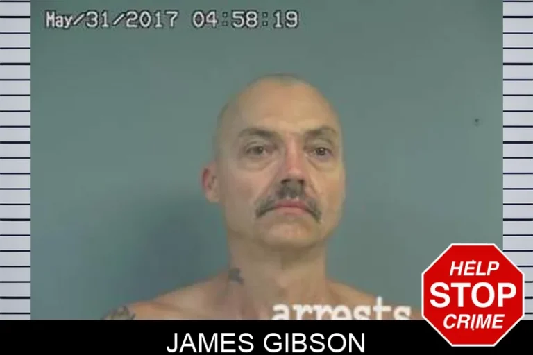 James Gibson
