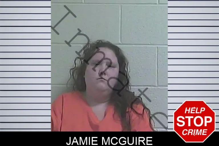 Jamie McGuire