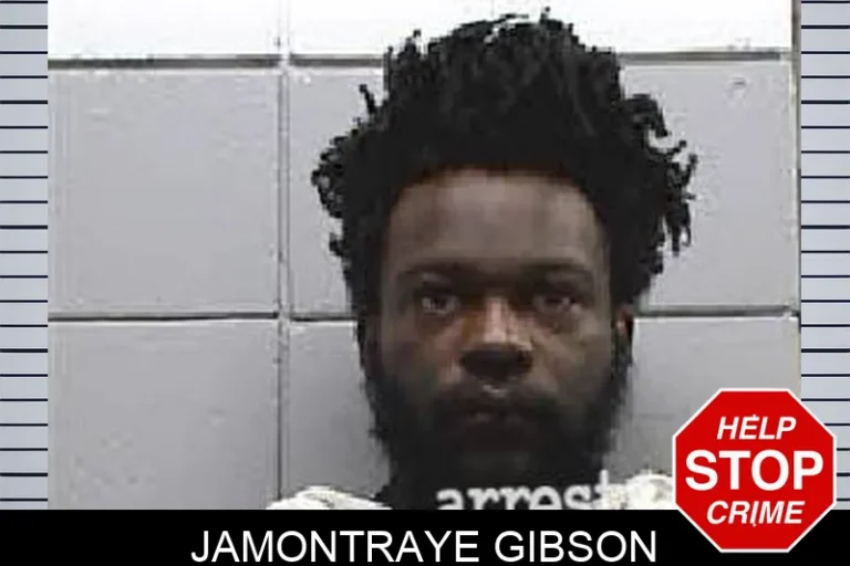 Jamontraye Gibson