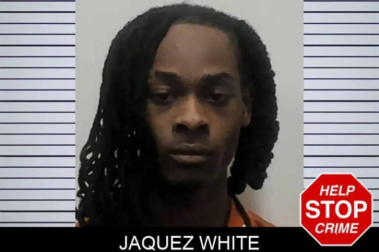 JaquEz White