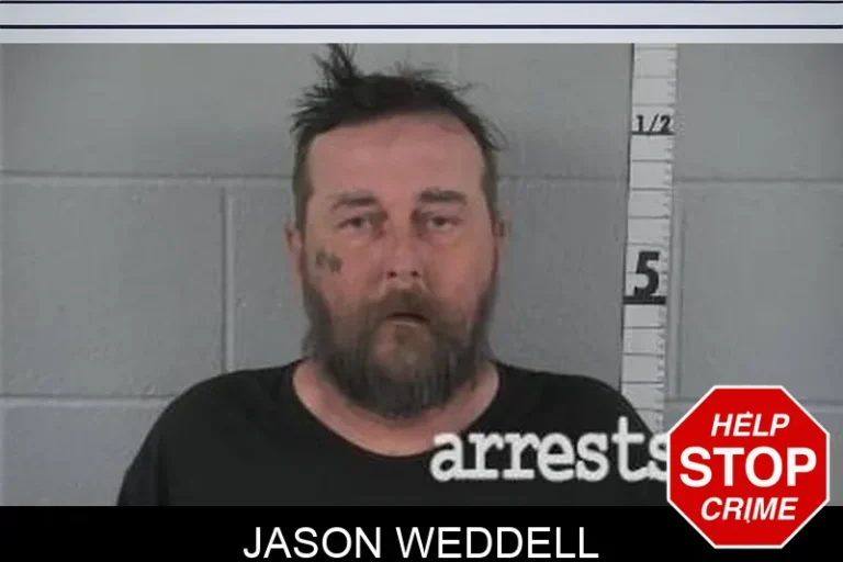 Jason Weddell