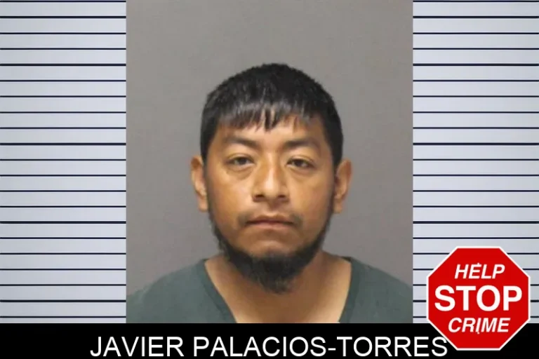 Javier Palacios-Torres