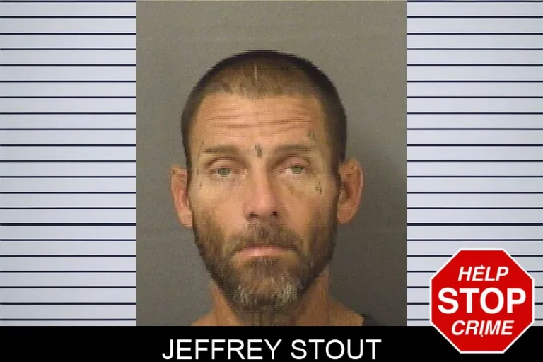 Jeffrey StouT