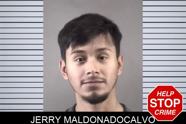 Jerry Maldonadocalvo