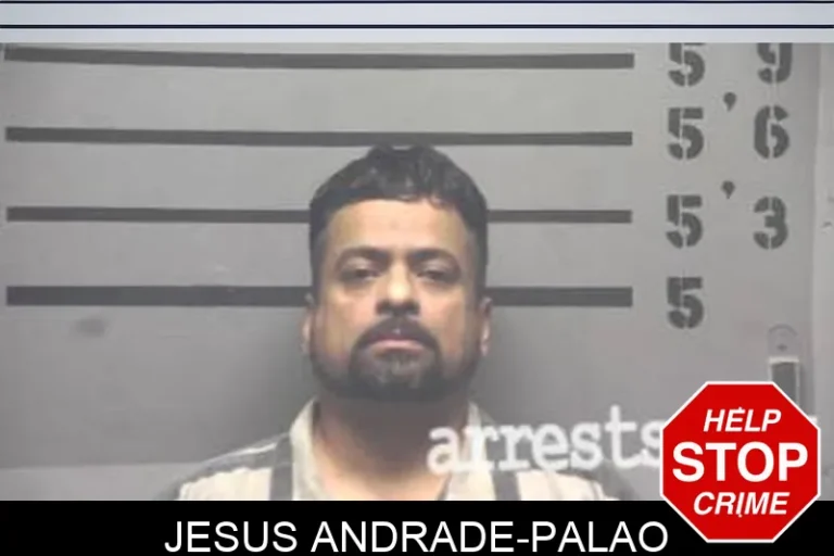 JesuS Andrade-Palao
