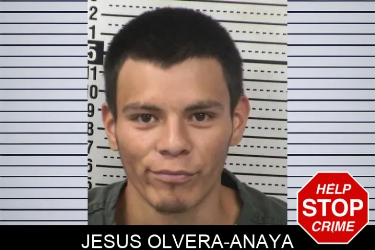 JesuS Olvera-Anaya