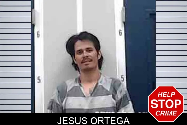 Jesus Ortega