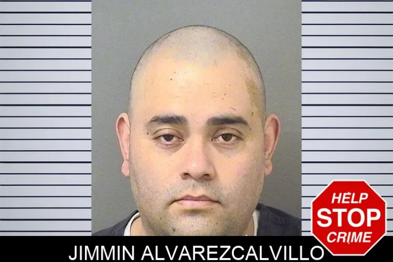 Jimmin Alvarezcalvillo