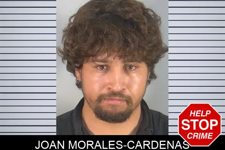 Joan Morales-Cardenas