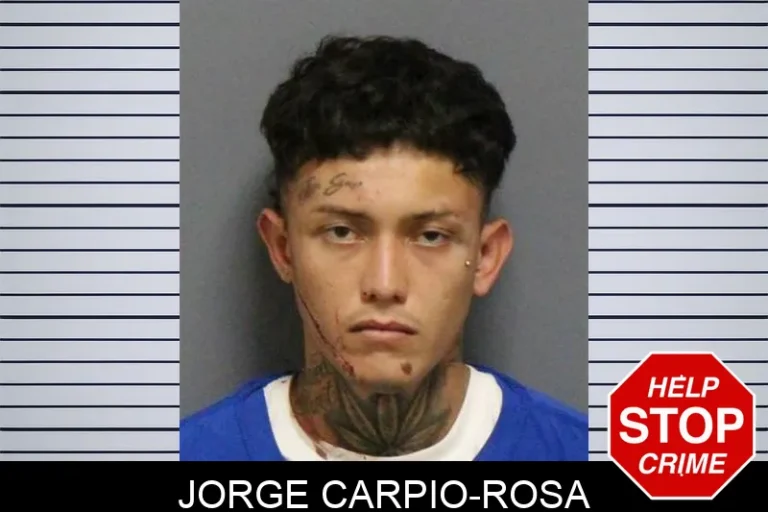 Jorge Carpio-Rosa