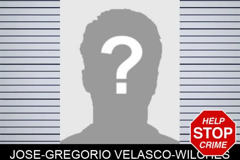 Jose-Gregorio Velasco-Wilches
