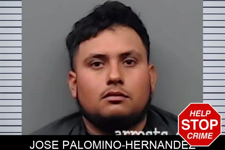 Jose Palomino-Hernandez