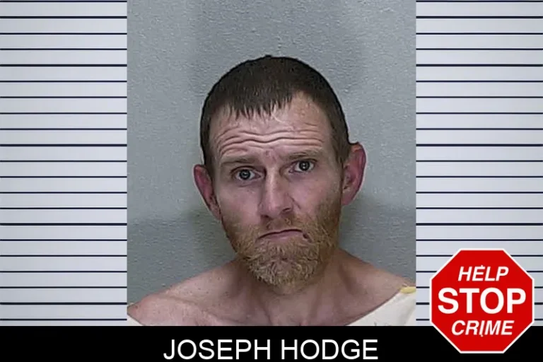 Joseph Hodge