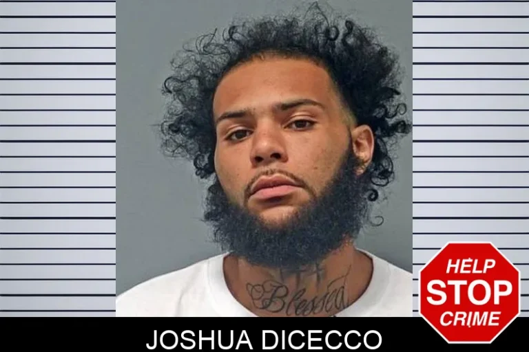 JoshuA Dicecco