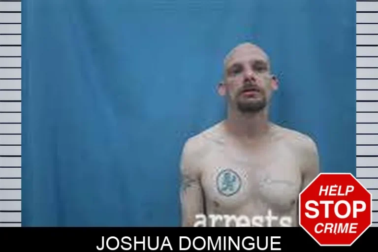 Joshua Domingue