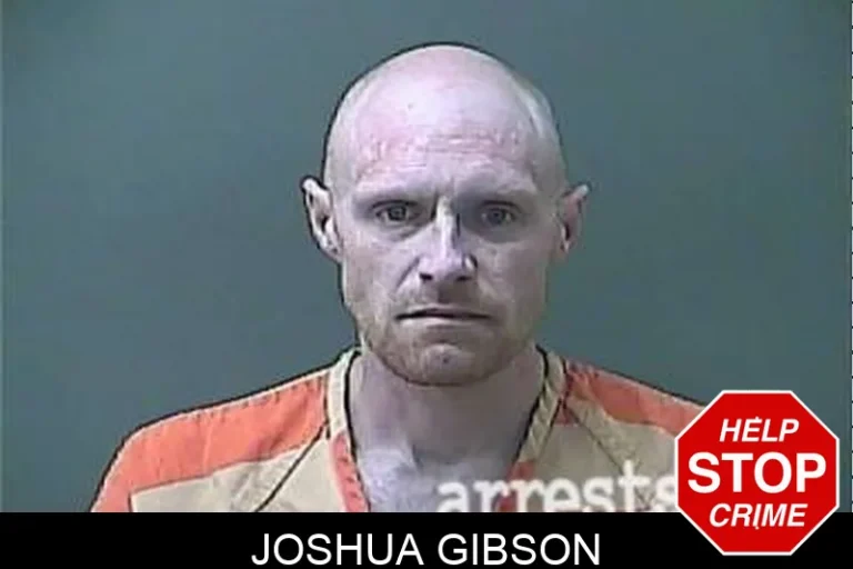 Joshua Gibson