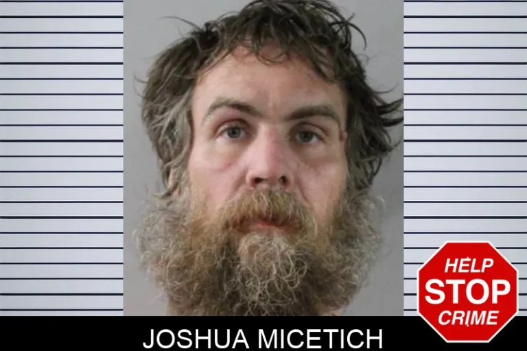 Joshua Micetich