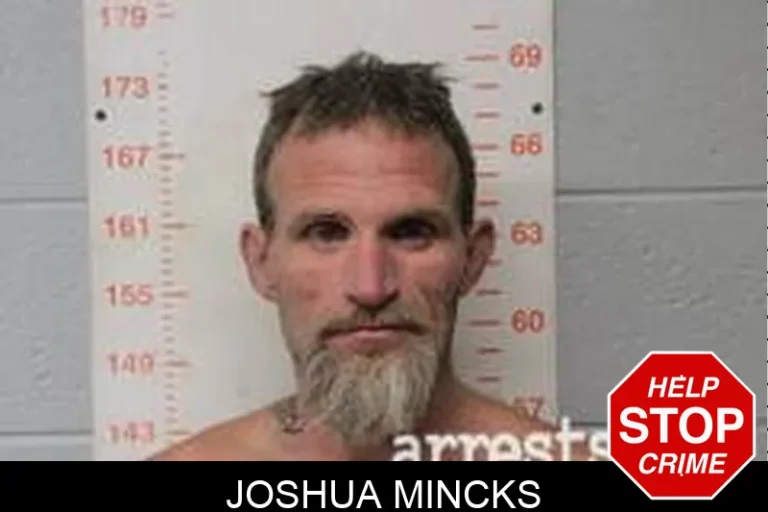 Joshua Mincks