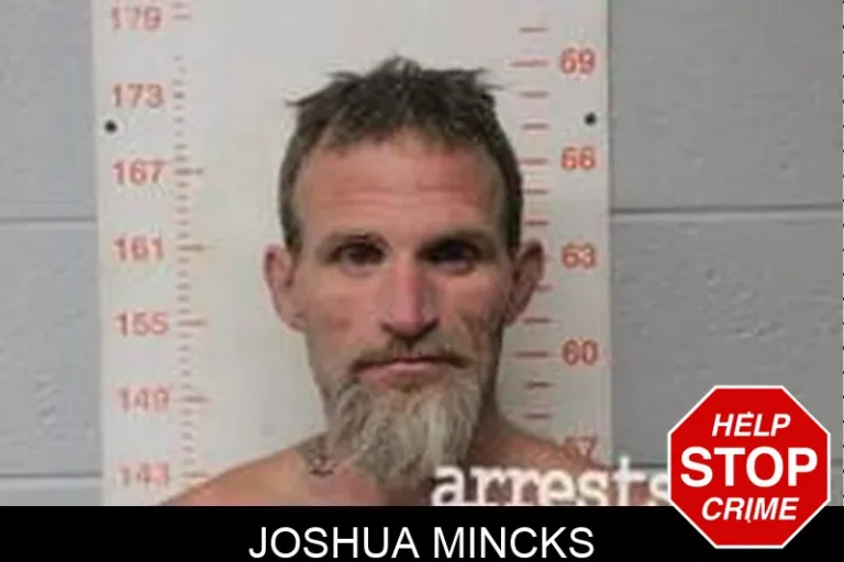 Joshua Mincks