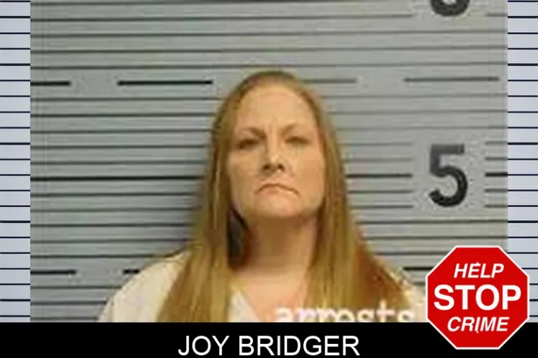 Joy Bridger