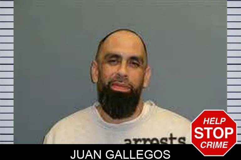 JuAn Gallegos