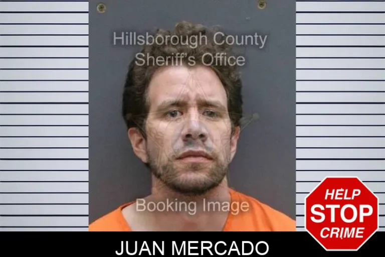 JuAn Mercado