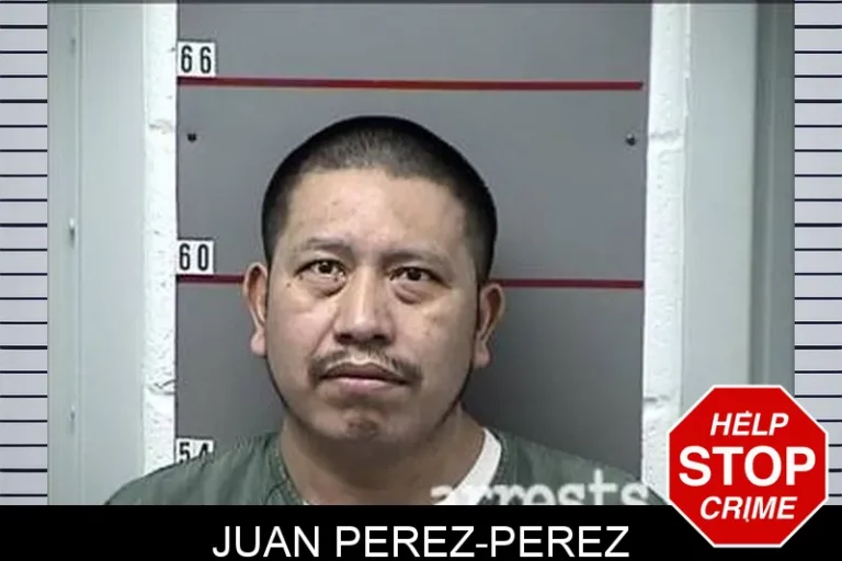 JuAn Perez-Perez