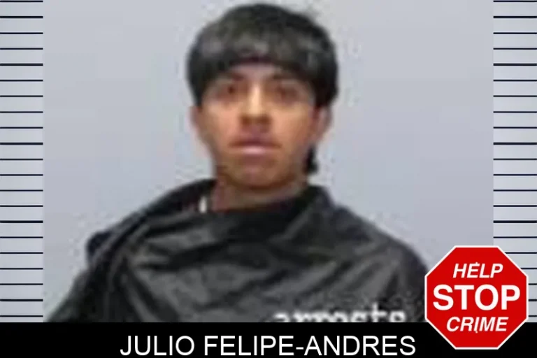 JuLio Felipe-Andres