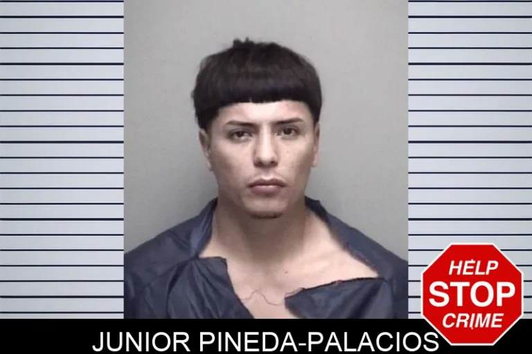 JuNior Pineda-Palacios