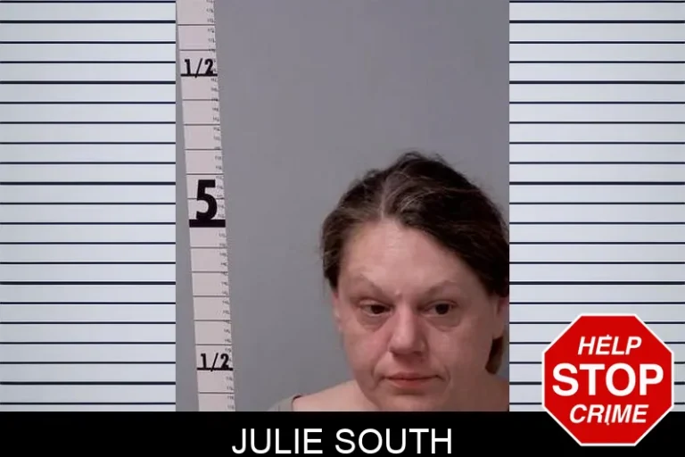 Julie South