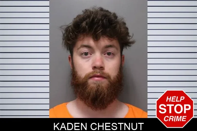 Kaden ChestnuT
